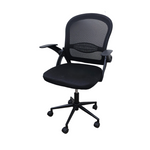 Office Chair with Adjustable Arms