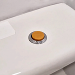 Toilet Flush Button